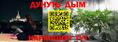 шишки Усть-Джегута