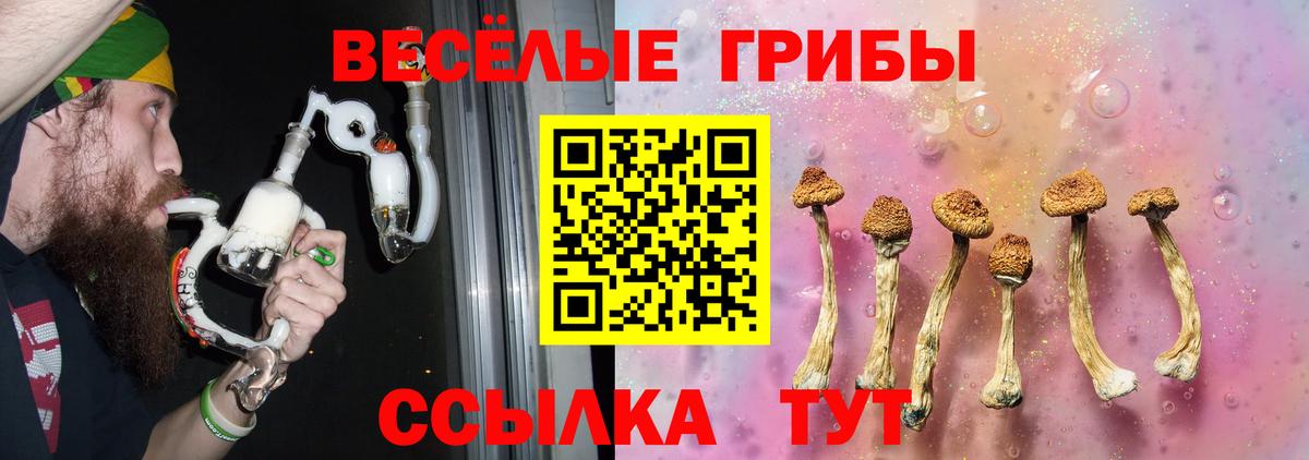 Псилоцибиновые грибы Magic Shrooms Новошахтинск