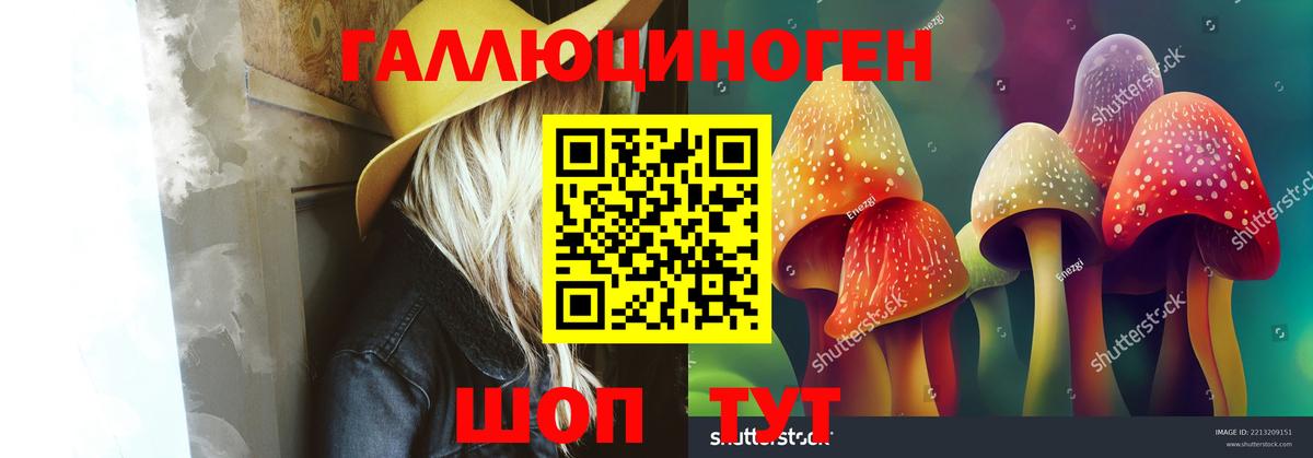 Новошахтинск  Псилоцибиновые грибы Psilocybine cubensis  Галлюциногенные грибы Psilocybine cubensis  Вход с VPN 